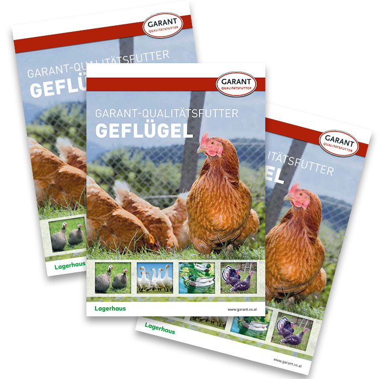 Geflügelfutter-Prospekt