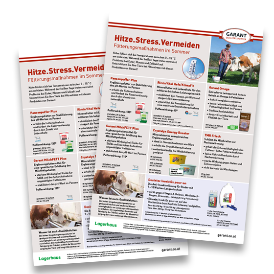 Hitzstress Rinder Flugblatt