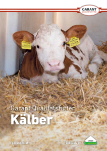 Prospekt_Kaelber