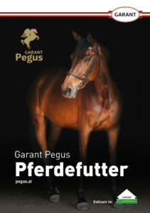Prospekt_Pferde