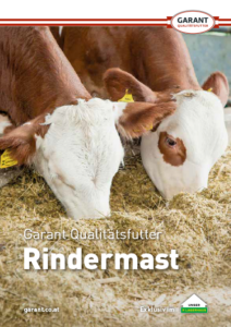 Prospekt_Rindermast