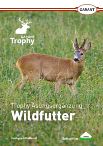 Prospekt_Wild