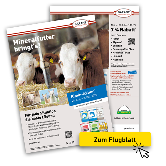 Riminaktion Herbst 2026 - zum Flugblatt