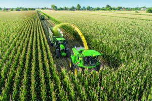 Maispflanze silieren Maisganzpflanzensilage